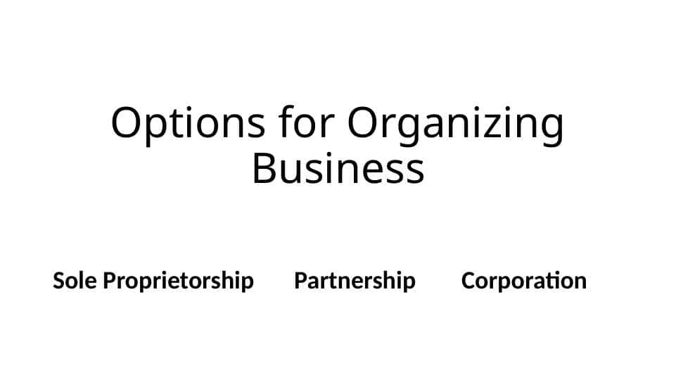 Options for Organizing Business