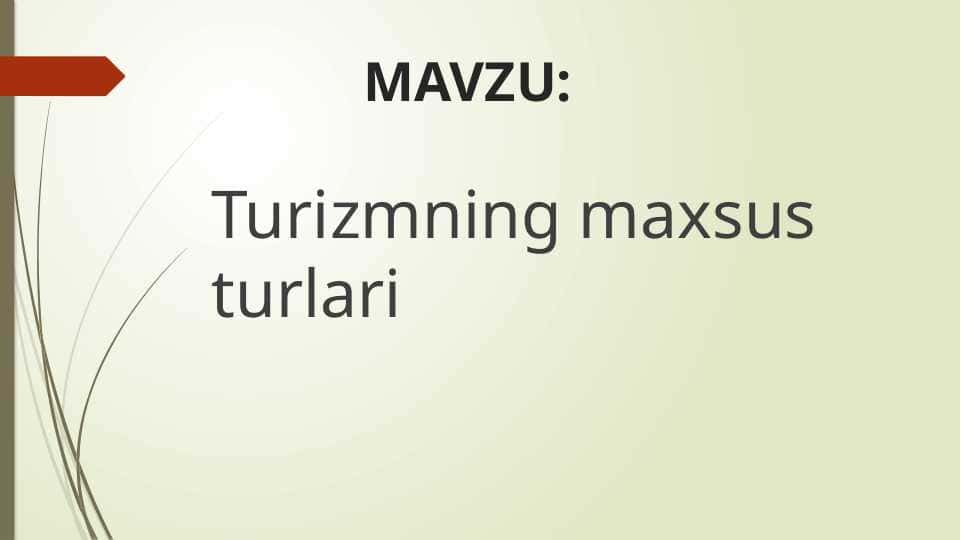 Turizmning maxsus turlari