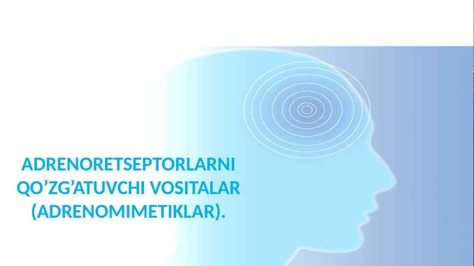 Adrenoretseptorlarni qo’zg’atuvchi vositalar (adrenomimetiklar)