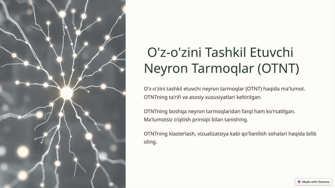 O'z-o'zini Tashkil Etuvchi Neyron Tarmoqlar (OTNT)