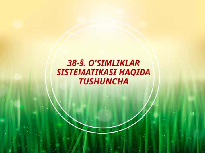 O'SIMLIKLAR SISTEMATIKASI HAQIDA TUSHUNCHA
