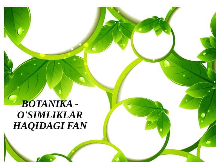 BOTANIKA - O'SIMLIKLAR HAQIDAGI FAN