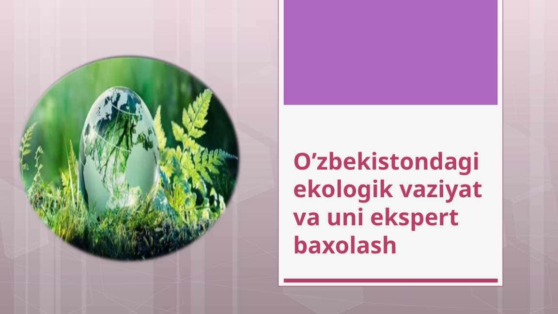 O’zbekistondagi ekologik vaziyat va uni ekspert baxolash