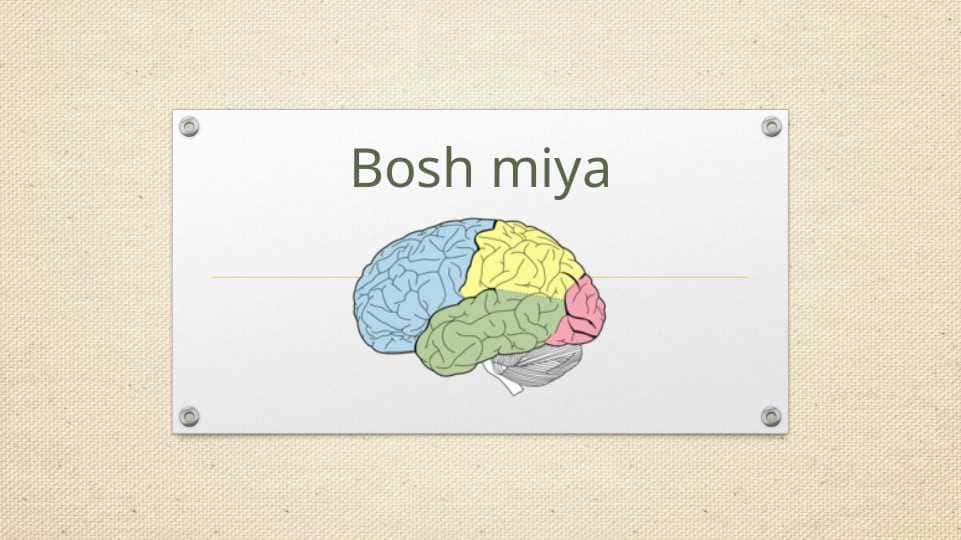 Bosh miya