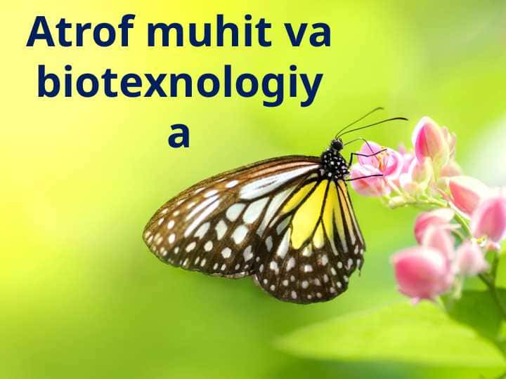 Atrof muhit va biotexnologiya