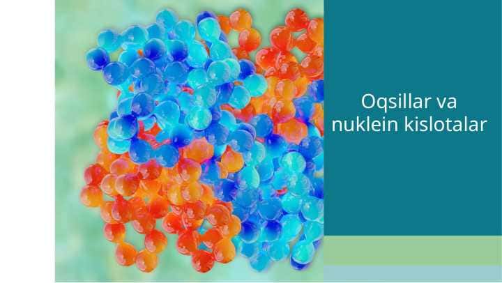 Oqsillar va nuklein kislotalar