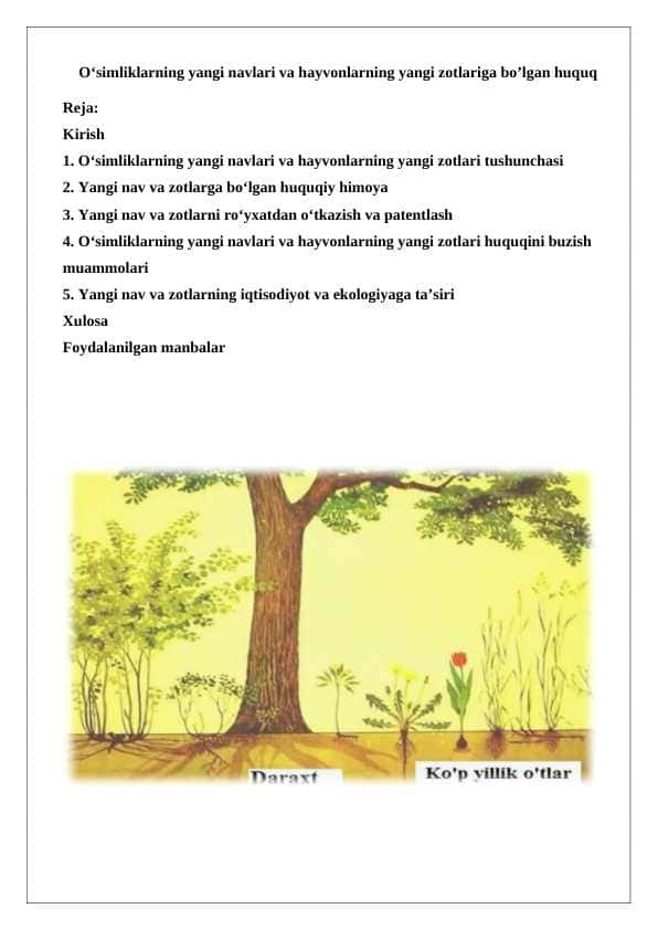 O‘simliklarning yangi navlari va hayvonlarning yangi zotlariga bo’lgan huquq