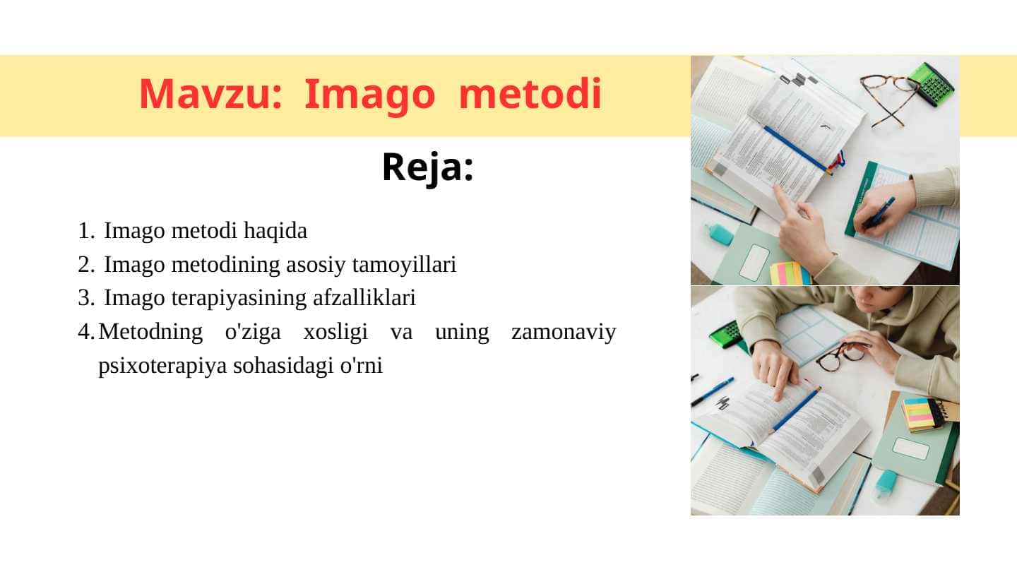Imago metodi