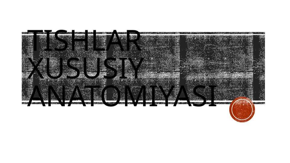 Tishlar xususiy anatomiyasi
