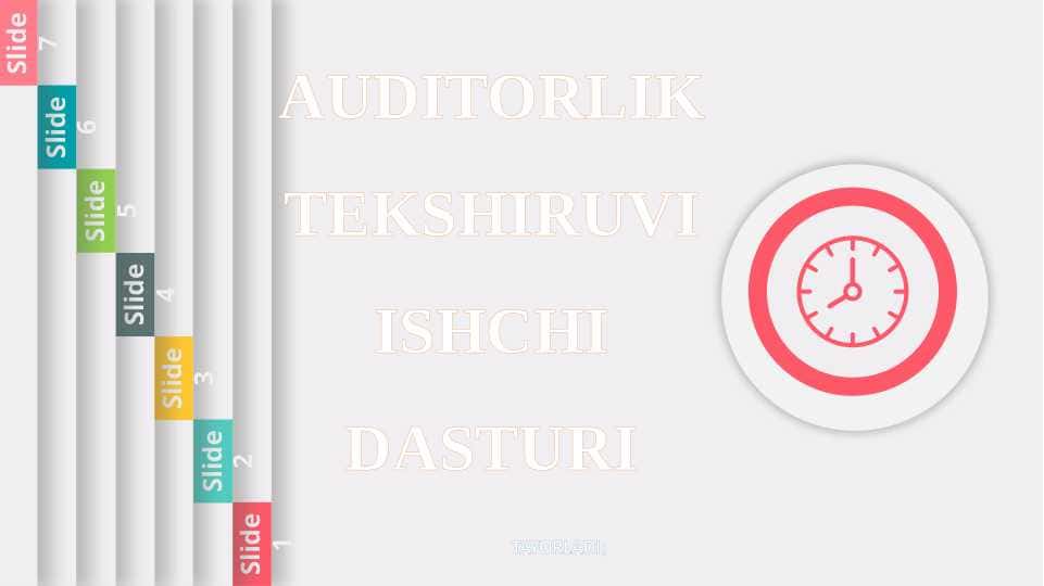 AUDITORLIK TEKSHIRUVI ISHCHI DASTURI
