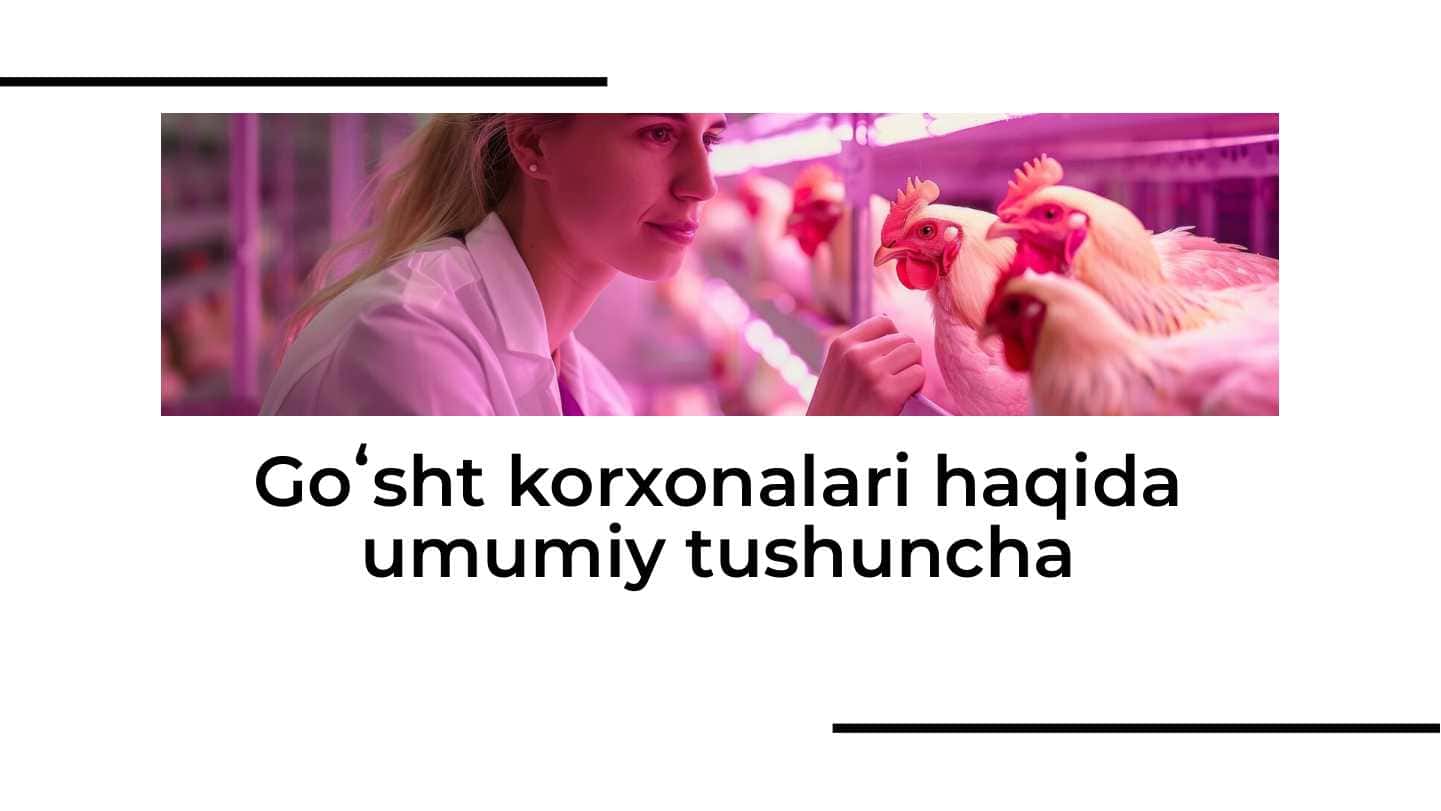 Go'sht korxonalari haqida umumiy tushuncha