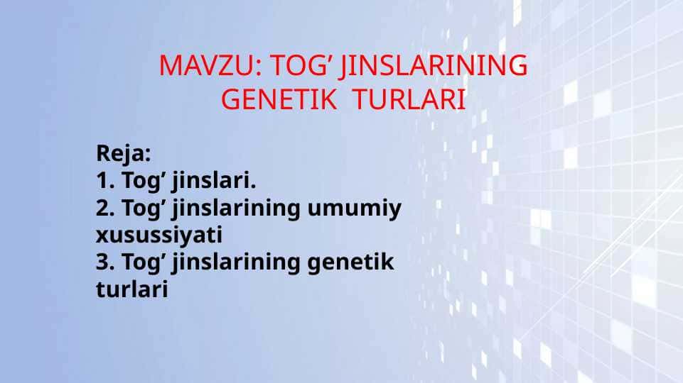 Tog’ jinslarining genetik turlari