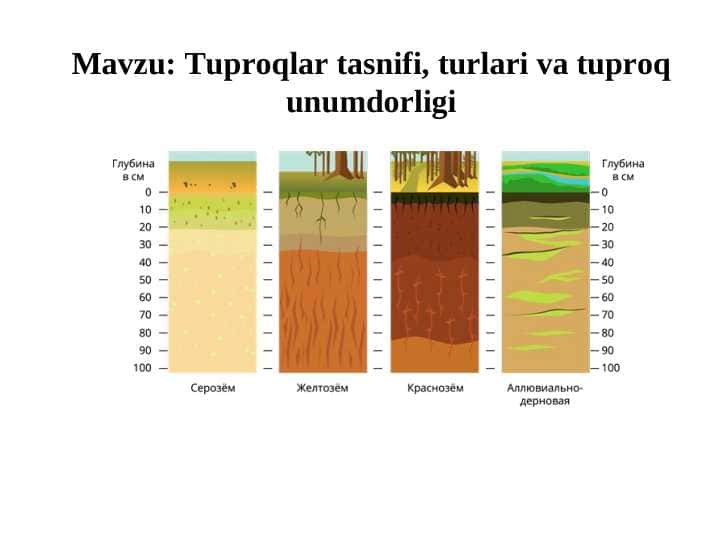 Tuproqlar tasnifi, turlari va tuproq unumdorligi