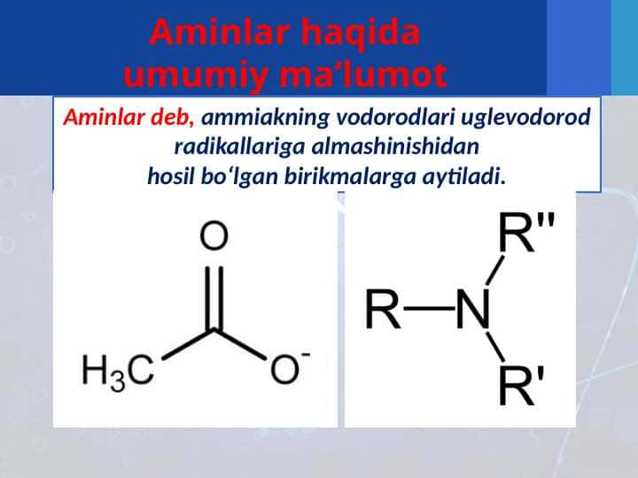 Aminlar haqida umumiy maʼlumot