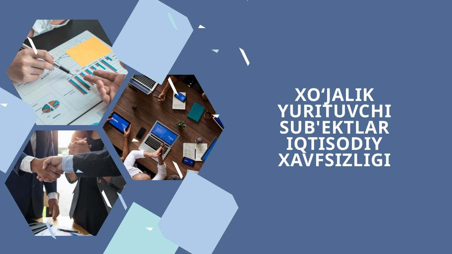 XO'JALIK YURITUVCHI SUB'EKTLAR IQTISODIY XAVFSIZLIGI