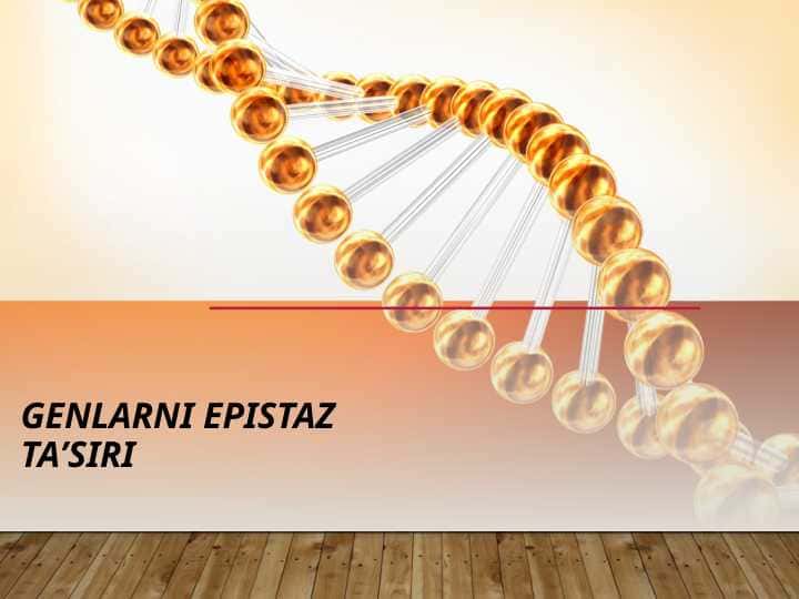 Genlarni epistaz taʼsiri — копия