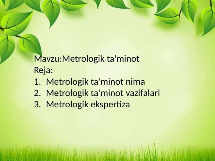Metrologik ta'minot