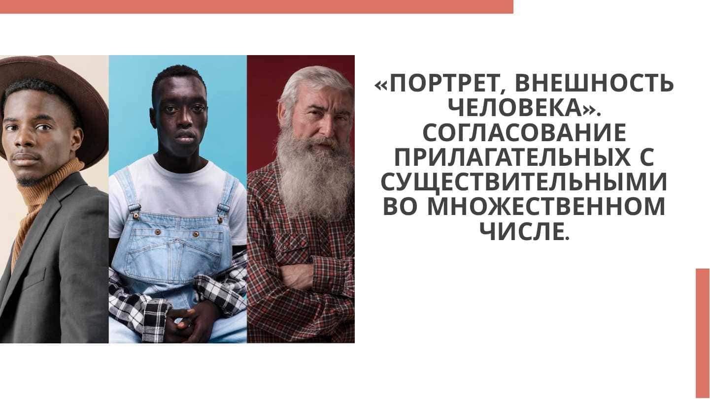 «ПОРТРЕТ, ВНЕШНОСТЬ ЧЕЛОВЕКА». СОГЛАСОВАНИЕ ПРИЛАГАТЕЛЬНЫХ С СУЩЕСТВИТЕЛЬНЫМИ ВО МНОЖЕСТВЕННОМ ЧИСЛЕ.