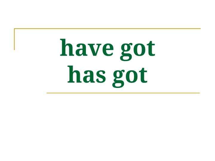 have got has got