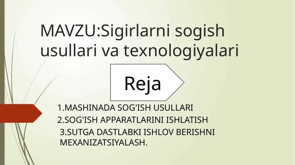 Sigirlarni sogish usullari va texnologiyalari