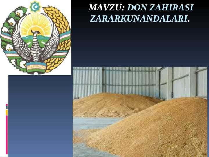 DON ZAHIRASI ZARARKUNANDALARI