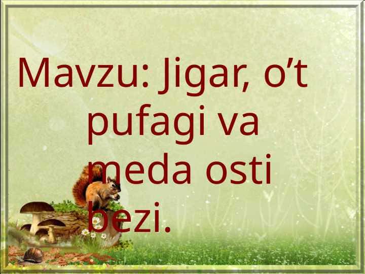 Jigar, o’t pufagi va meda osti bezi