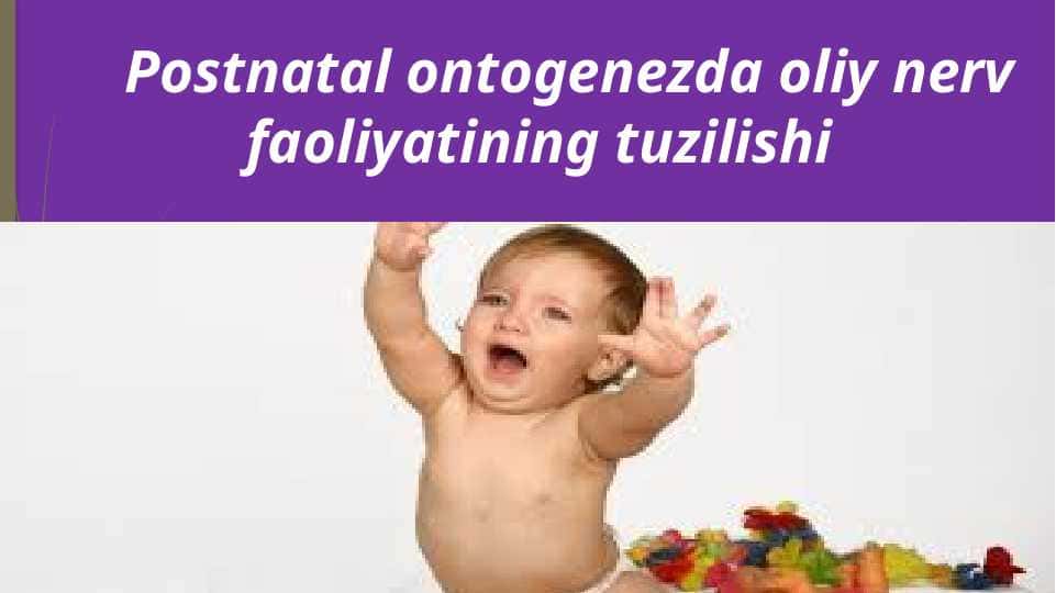 Postnatal ontogenezda oliy nerv faoliyatining tuzilishi