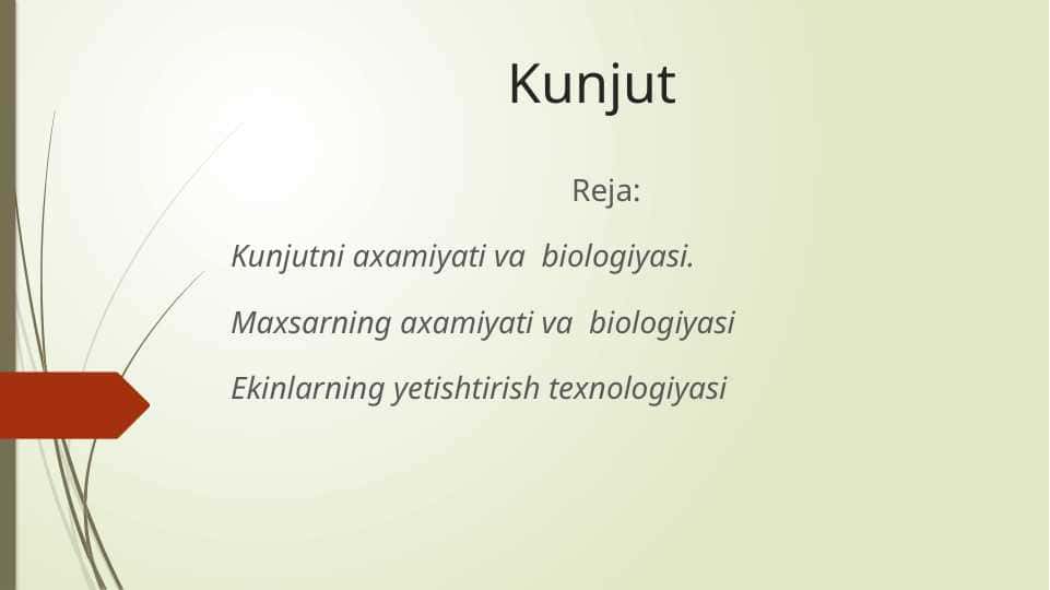 Kunjut