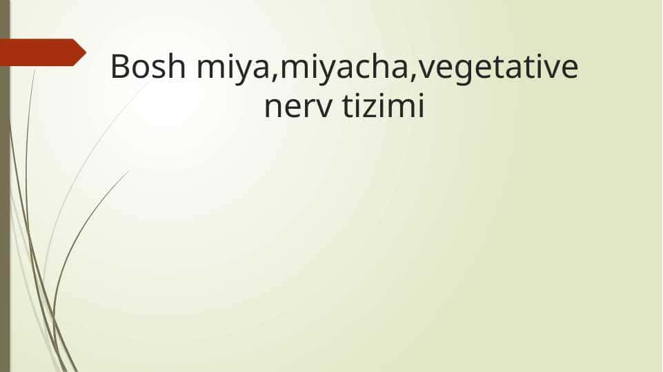 Bosh miya,miyacha,vegetative nerv tizimi
