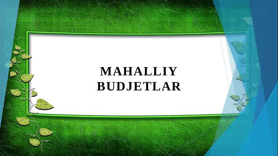 Mahalliy budjetlar