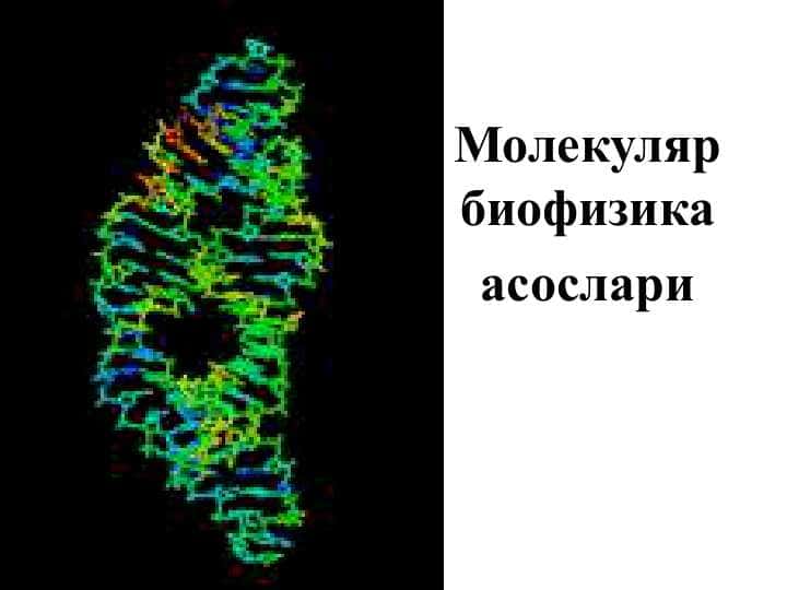 Молекуляр биофизика асослари