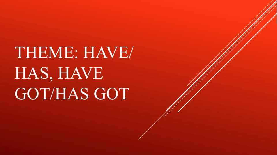 Have has, have got has got