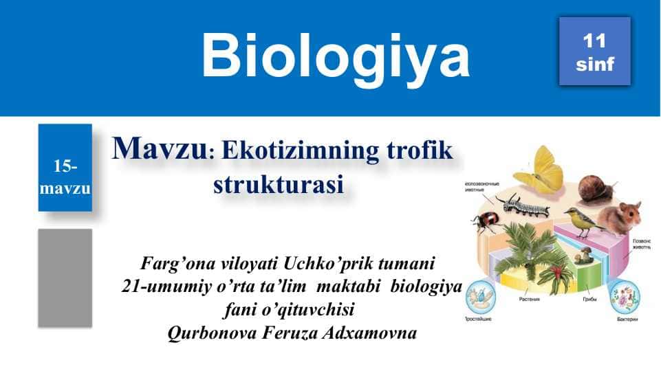Mavzu: Ekotizimning trofik strukturasi