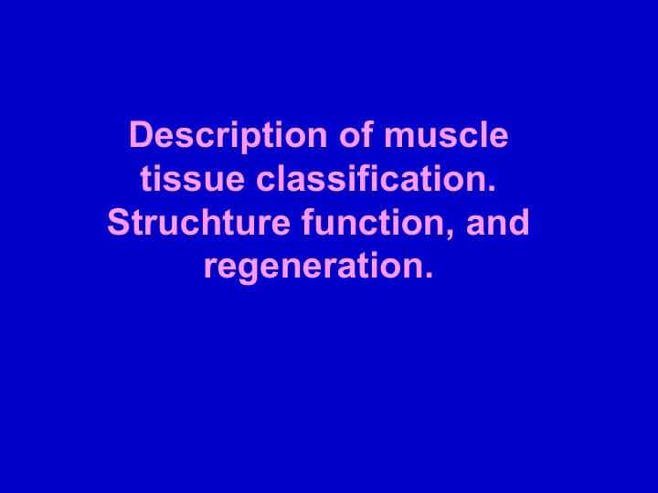 Description of muscle tissue classification. Struchture function, and regeneration.