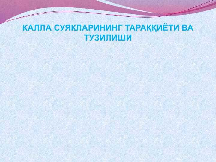 КАЛЛА СУЯКЛАРИНИНГ ТАРАҚҚИЁТИ ВА ТУЗИЛИШИ