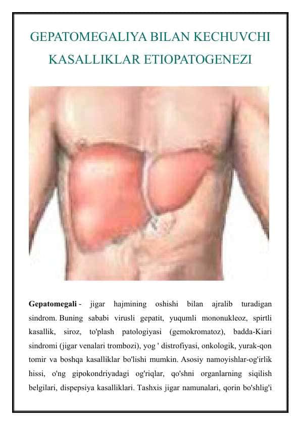 GEPATOMEGALIYA BILAN KECHUVCHI KASALLIKLAR ETIOPATOGENEZI