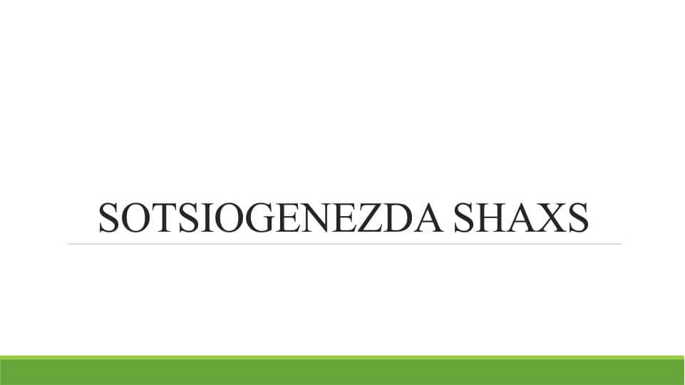 SOTSIOGENEZDA SHAXS
