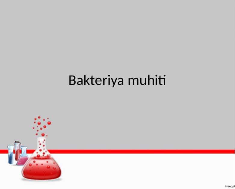 Bakteriya muhiti
