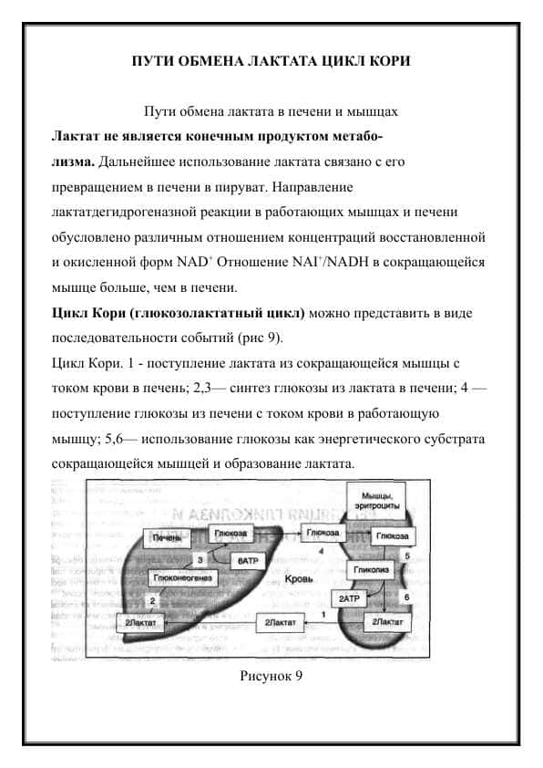 ПУТИ ОБМЕНА ЛАКТАТА ЦИКЛ КОРИ