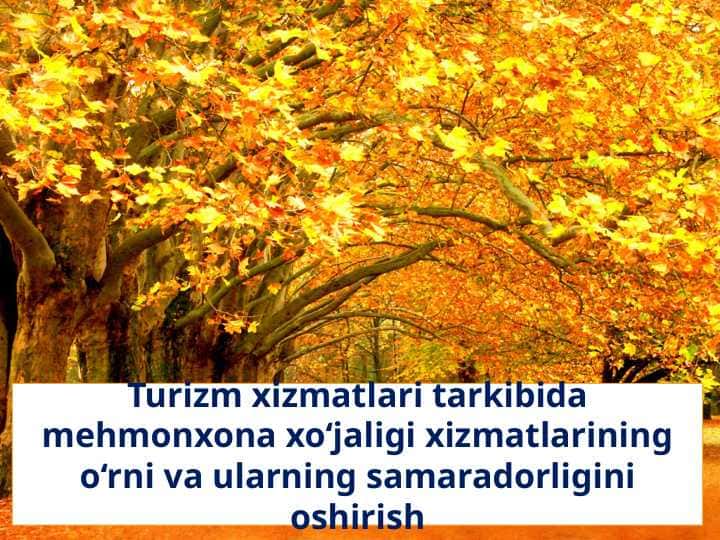 Turizm xizmatlari tarkibida mehmonxona xo‘jaligi xizmatlarining o‘rni va ularning samaradorligini oshirish