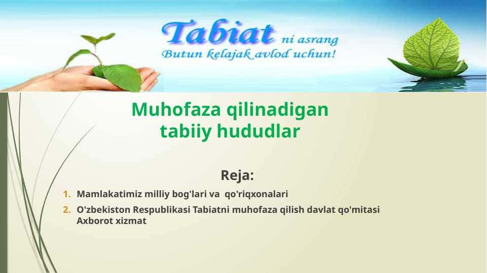 Muhofaza qilinadigan tabiiy hududlar