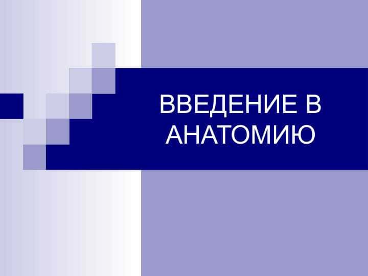 ВВЕДЕНИЕ В АНАТОМИЮ
