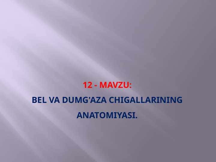 Bel va dumg'aza chigallarining anatomiyasi.