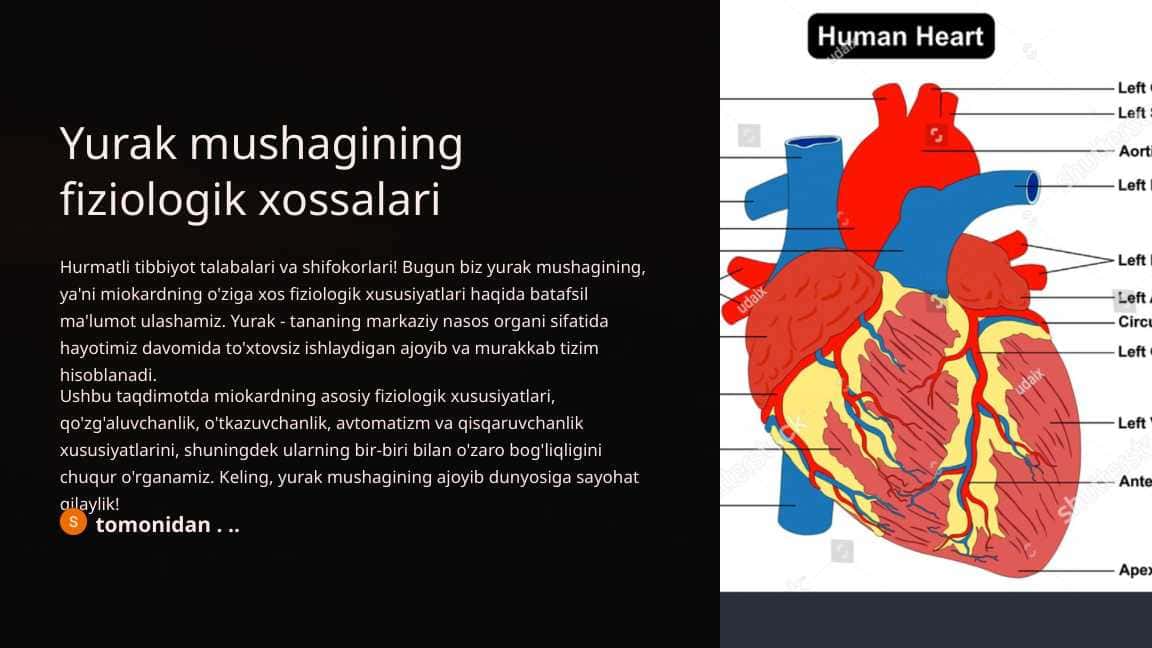 Yurak mushagining fiziologik xossalari