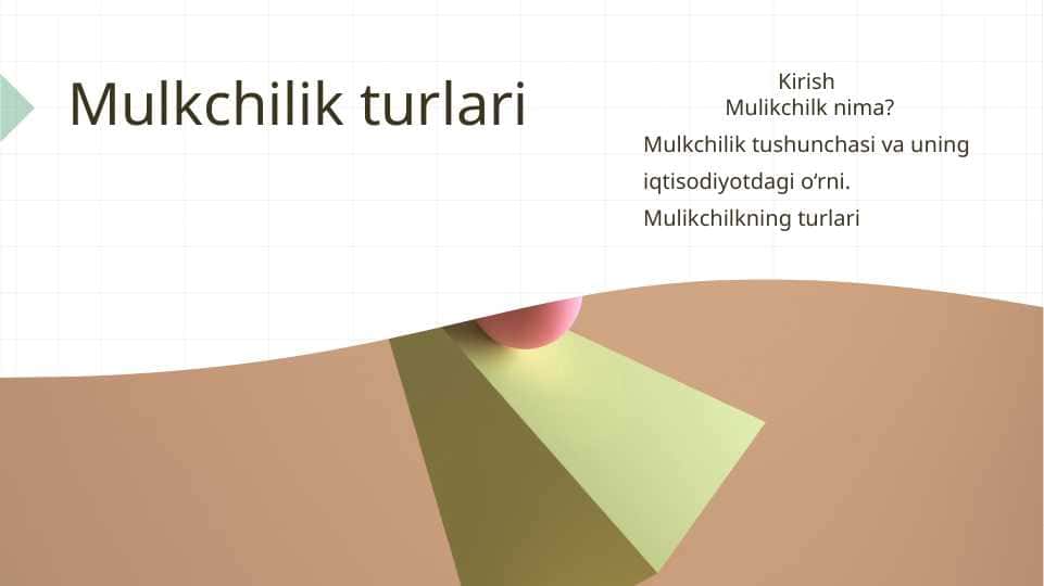 Mulkchilik turlari