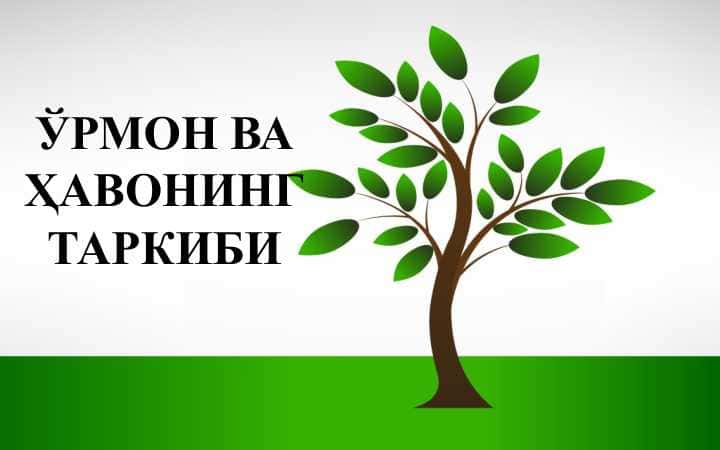 ЎРМОН ВА ҲАВОНИНГ ТАРКИБИ