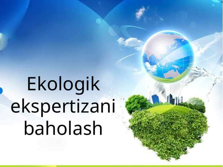 Ekologik ekspertizani baholash