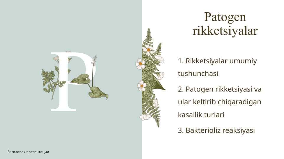Patogen rikketsiyalarPatogen rikketsiyalar