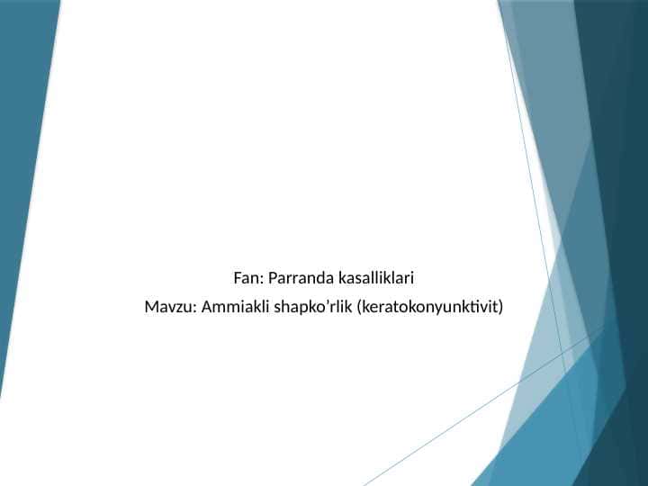 Ammiakli shapko’rlik (keratokonyunktivit)