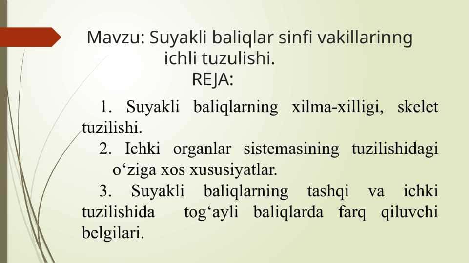 Suyakli baliqlar sinfi vakillarinng ichli tuzulishi